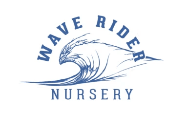 Wave Rider Nursery